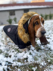  Kutyaruha - kutyakabát - Bundás divatos és meleg - S