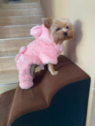  Kutyaruha - Kényelmes Meleg Overál, overall, Kezeslábas - Maci mintával, kétféle színben - XL - barna