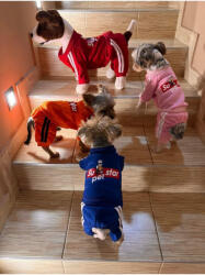  Kutyaruha - Egyberészes overál - overall - kutyamelegítő szett - többféle színben - M - narancs