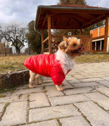  Kutyaruha - Kutyakabát - Szőrmés, bélelt - többféle színben - L - piros