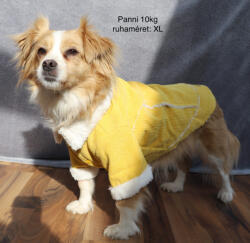  Kutyaruha - Kutyakabát - Kordbársony, bundás - többféle színben - M - zöld