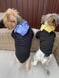  Kutyaruha - Fekete ing, kockás gallérral - többféle színben - L - rózsaszín