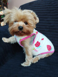  Kutyaruha - Fehér pamut trikó eper mintával - 2XL