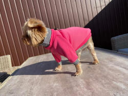  Kutyaruha - Kutyapulóver - Kutyapulcsi - Garbós, póráz akasztóval - kétféle színben - 2XL - rózsaszín