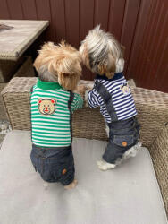  Kutyaruha - Könnyed Kantáros egyberészes cuki macis kezeslábas overál - overall - 2 féle színben - XL - szürke/kék