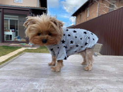  Kutyaruha - Pamut póló csillagos mintával - L