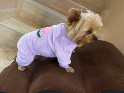  Kutyaruha - Bundás, meleg overál - overall - kezeslábas, tökéletes pizsi vagy otthonka - Lila, dinnyés mintával - S