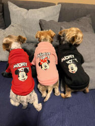 Petgear Kutyaruha - Mickey és Minnie pulóver - Fekete - M