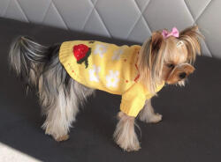  Kutyaruha - Kutyapulóver - kutyapulcsi - Divatos Sárga Kötött kutyapulóver Eper Mintával - M