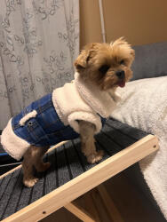  Kutyaruha - Szőrmés Farmer Mellény - XL