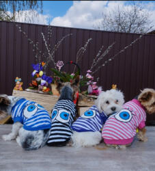  Kutyaruha - Cuki, csíkos kutyatrikó szemekkel - többféle színben - M - kék