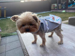  Kutyaruha - Könnyű, hálós anyagú trikó, hátul stílusos kistáskával - ezüst színben - L