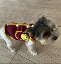  Kutyaruha - Kutyamellény - Bordó kutyamellény, sárga szegéllyel és kiskacsa plüssel - M