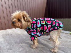  Kutyaruha - Színes pamut kutyapóló dinnye mintával - 2XL