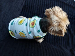  Kutyaruha - Fehér pamut trikó, avokádó mintával - 2XL