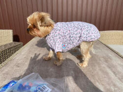  Kutyaruha - Leopárd mintás pamut kutyapóló - M