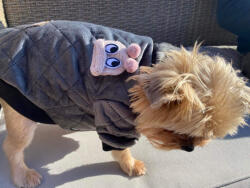  Kutyaruha - Kutyakabát - bélelt, meleg - Kétféle színben - L - szürke