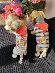  Kutyaruha - Piros kendős, ujjatlan, nyári, vékony kutyatrikó - kétféle színben - L - fekete/barna csíkos