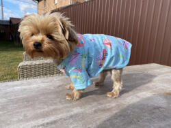  Kutyaruha - Pamut póló világoskék színben, lakókocsis és flamingós mintával - L