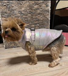  Kutyaruha - Kutyakabát - kutyamellény - Színváltós, Vízálló és széltörő és a kedvenc hátán zipzáras! -metál - M - metál