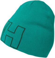 Helly hansen Шапка outline beanie (67147-466)
