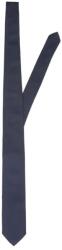 SELECTED Peter Structure tie - Blue (Sky Captain)