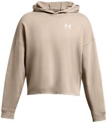 Under Armour Суичър Under Armour Women's Rival Terry Os Performance Hoodie - Brown