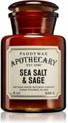 Paddywax Apothecary Sea Salt & Sage 226 g