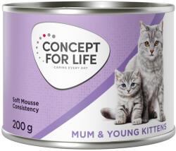 Concept for Life 24x200g Concept for Life Mum & Young Kittens Mousse nedves konzerv macskatáp kiscicáknak új receptúrával