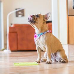 LickiMat Soother nyalószőnyeg kutyáknak - rózsaszín
