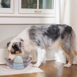 PetSafe Sedona itatókút kutyák és macskák számára 3 L