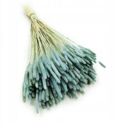 Enchanted Szárított kakukkfű menta (TYMOTKA MIETOWA)