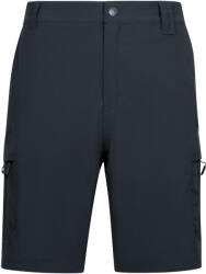 TRESPASS Férfi Dalham rövidnadrág L szürke