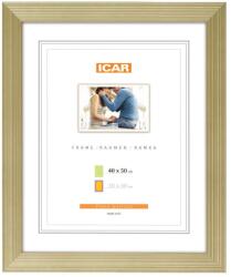 Icar Képkeret 40 x 50 cm Arany Fa (4235234523)