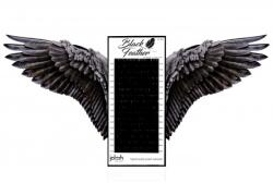 Jolash Szempilla Black Feather Volume csavart D, 0, 07 7 mm fekete (5904302830462)