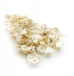 Enchanted Havilap Fehér (Lunaria) Fehérített Lengyel (LUNARIA BIELONA)