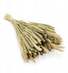 Enchanted Timótea Natúr Szárított aszalvány nagy csokor 80g (TYMOTKA NATURALNA)