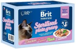 Brit Premium Delicate Fillets in gravy Family Plate sterilised 12x85 g