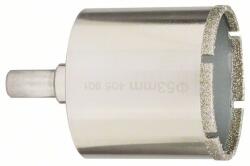 Bosch 2609256C89