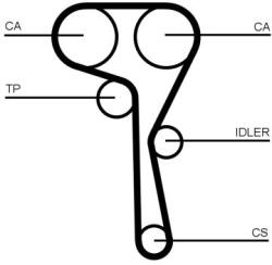 Continental Ctam Set curea de distributie CONTINENTAL CTAM CT1167K6 (CT1167K6)