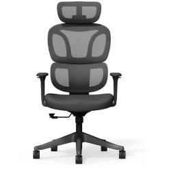 FlexiSpot Ergonomikus irodai szék BS5, fekete - hálós háttámla, állítható karfák és modern megjelenés (BS5B)