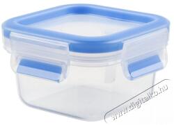 Tefal Tárolóedény 0, 25 l MASTER SEAL FRESH négyzet alakú K3021612