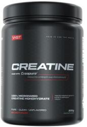 VAST - Creatine - Creapure - ízesítetlen - 300 G