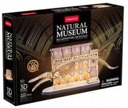 CubicFun 3D Led puzzle Natural Museum Kék bálna, Cubic Fun (L545H)