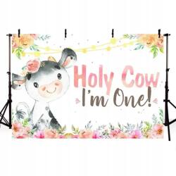  Háttér Falikép Születésnapra Banner 210x150cm (JO532)