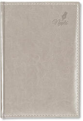 PD Period Border Napló B/5 Ezüst 2026 (P41141987)