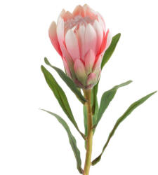  Virág 272 rózsaszín (397493)