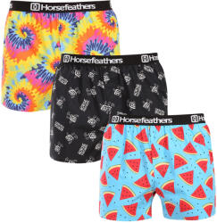 Horsefeathers 3PACK pantaloni scurți pentru bărbațiHorsefeathers Pachetul Frazier 8 (AM096K) L (183349)