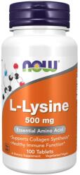 NOW Now L-Lysine (Л-лизин), 500 mg, 100 табл