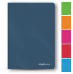 COLORARTE Caiet A4 80 file 70 g/mp coperta plastic, COLORARTE (C425X)